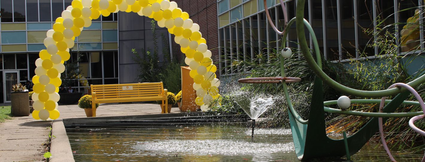 Story Arts Centre Unveils The Friendship Bench The Friendship Bench